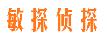 安化市侦探调查公司